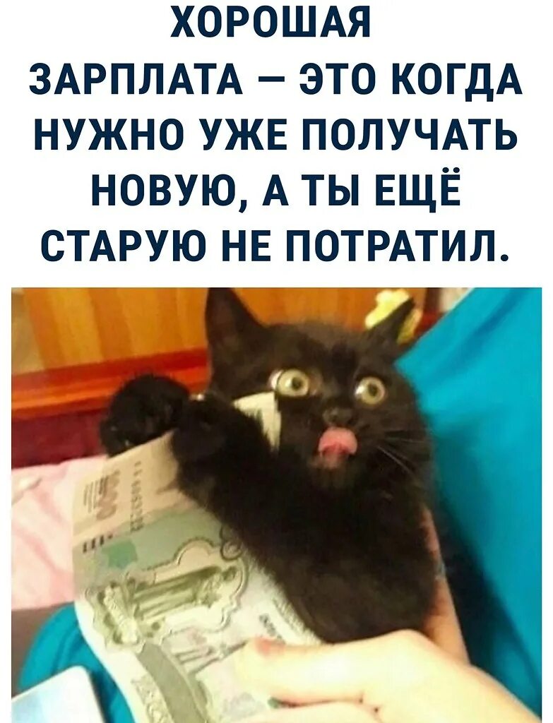 Пришло две зарплаты. Картинки когда зарплата. мемы про зарплату. день зарплаты картинки. получил зарплату.