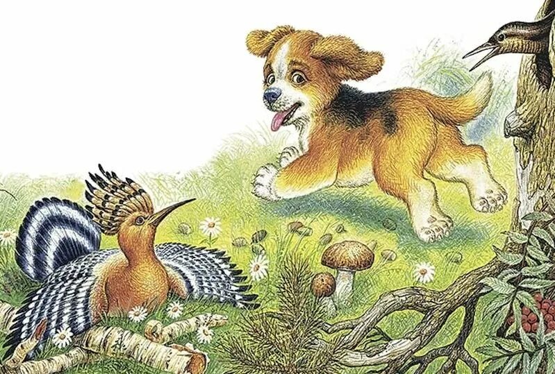 Первая охота главные герои. Первая охота главные герои. Первая охота главные герои. Рассказ первая охота. 1 охота бианки.