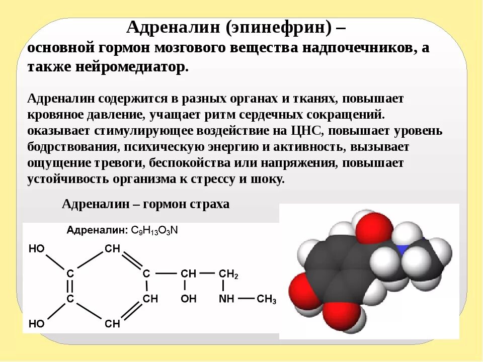 Кортизол гормон чего. Адреналин гормон. Адреналин химическая структура. Гормон адреналин выделяется. Адреналин функции гормона.