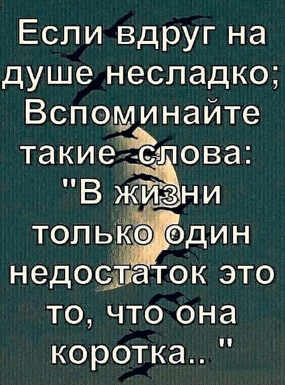Вроде бы ничего. Жизнь слишком коротка чтобы тратить ее на обиды. Цитаты про жизнь короткие красивые. Жизнь она короткая. Жизнь коротка.