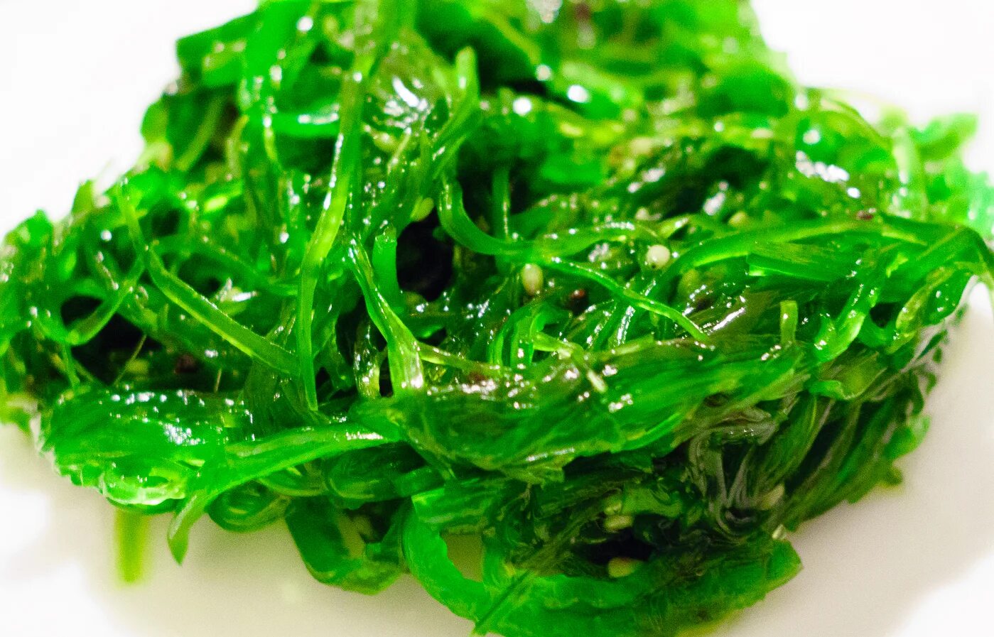 Вкус водорослей. Водоросли чука (вакаме). Морская капуста вакамэ. Зеленые водоросли вакаме. Морская ламинария "вакаме".