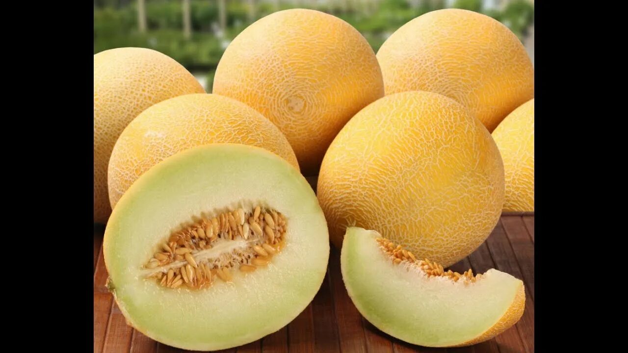 Дыня боло. Дыня туркменка. Сорт дыни колхозница. Дыня азовка. Огурдыня семена купить в москве.