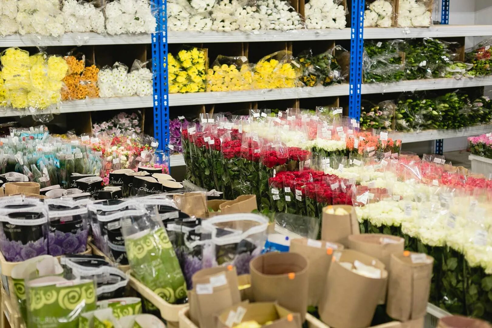 Магазин цветов цветочная база. Оптовая торговля цветов. Оптовая торговля цветами.