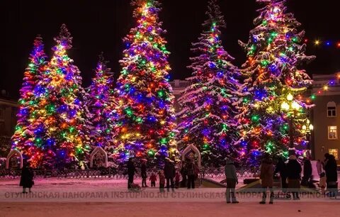 Декабрю текущего года