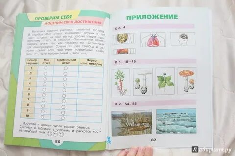 Окр мир рт 1 класс