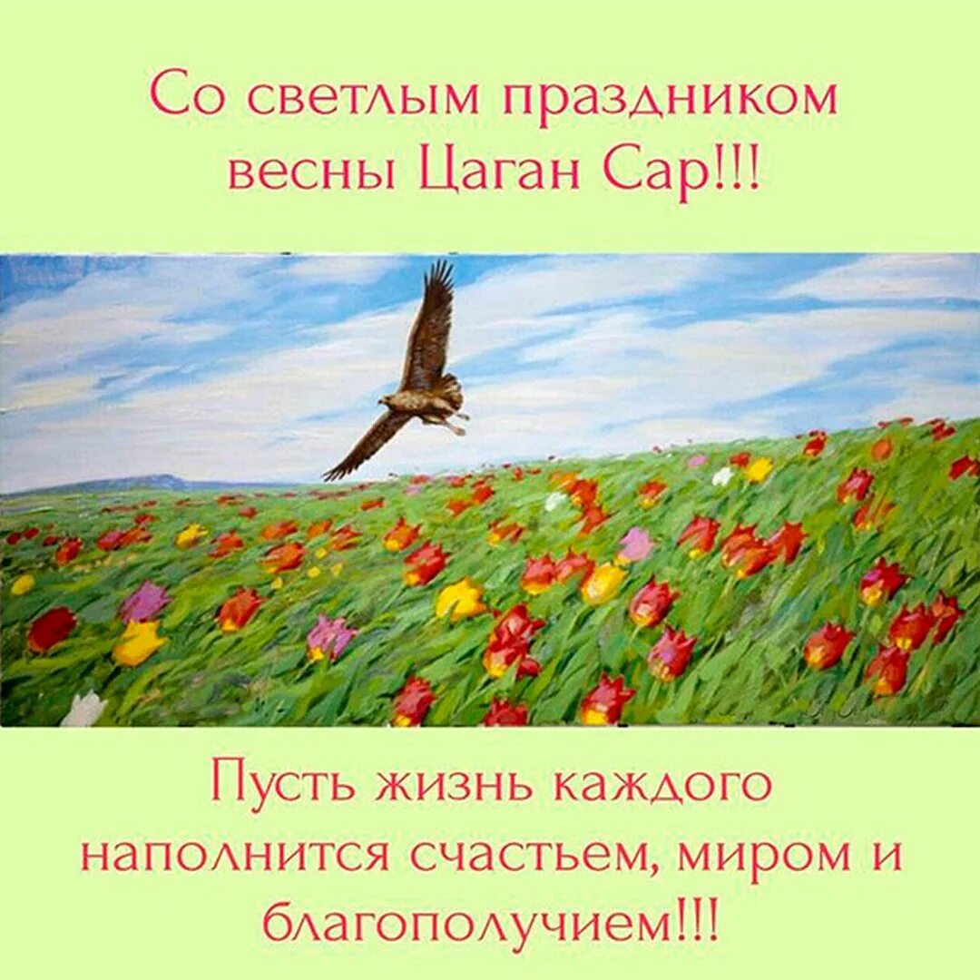 С праздником цаган сар картинки. С праздником цаган сар. цаган сар открытки. спараздником цаган сар. с праздником цаган сар поздравления.