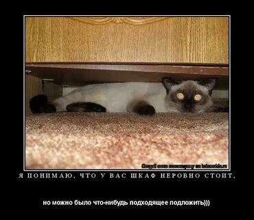 Что нибудь подходящее