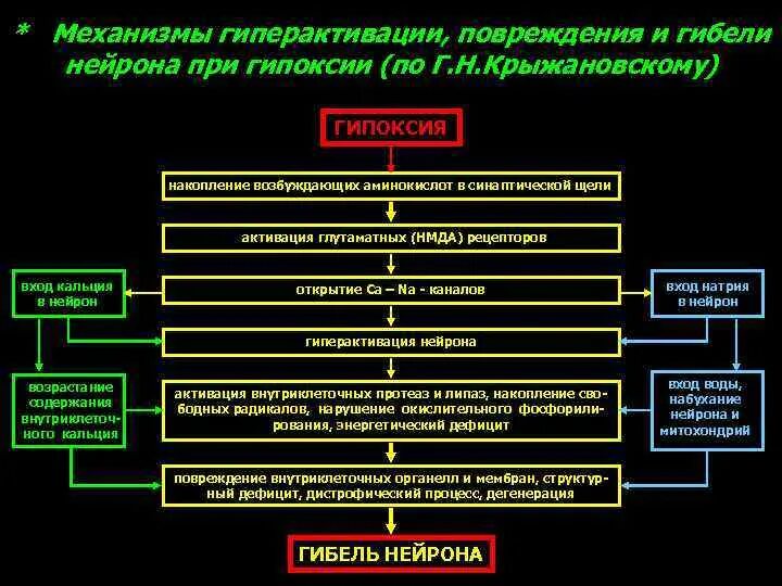 Экстренная гипоксия. Острая гипоксия схема. Механизм развития гипоксии. Механизм развития острой гипоксии. Гипоксическая гипоксия патогенез.