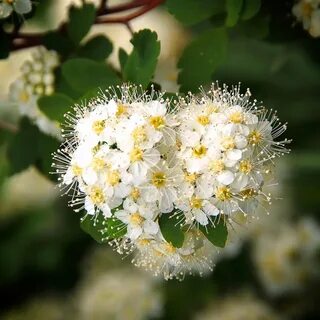 Многая и благая лета картинки