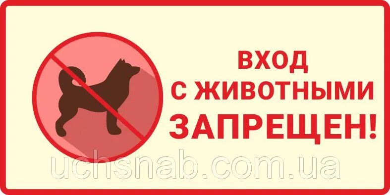 Можно с собаками в продуктовый магазин. Вход с животными запрещен. Вход с животнымиапрещен. Вход с собаками запрещен табличка. Вход с санками запрещен.