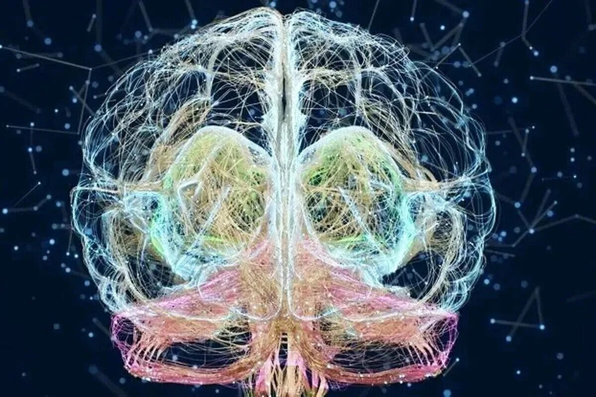 Нейроны мозга. Нейронные связи в мозге. Мозг человека Нейроны. Нейронная сеть мозга.