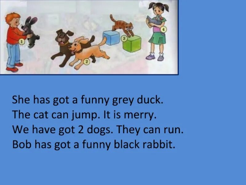 Как переводится she gets. She has рисунок. She has got. She has got a Cat. They have got a Cat отрицание.