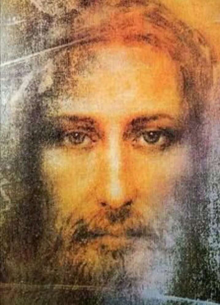 Туринская плащаница реконструкция облика христа. Туринская плащаница лик христа. Туринская плащаница лик. Лик христа спасителя с туринской плащаницы. Иисус христос портрет с туринской плащаницы.