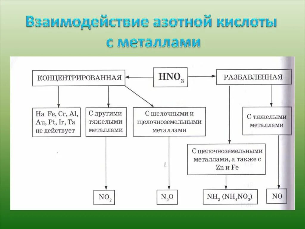 Взаимодействие концентрированной и разбавленной азотной кислоты. Взаимодействие концентрированной азотной кислоты с металлами. Взаимодействие с концентрированной азотной кислотой. Взаимодействие с разбавленной азотной кислотой. Схема взаимодействия концентрированной азотной кислоты с металлами.