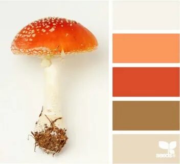 Краска pantone mushroom
