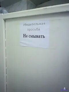 Приколы прошу