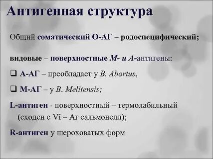 Антигенная структура сальмонелл
