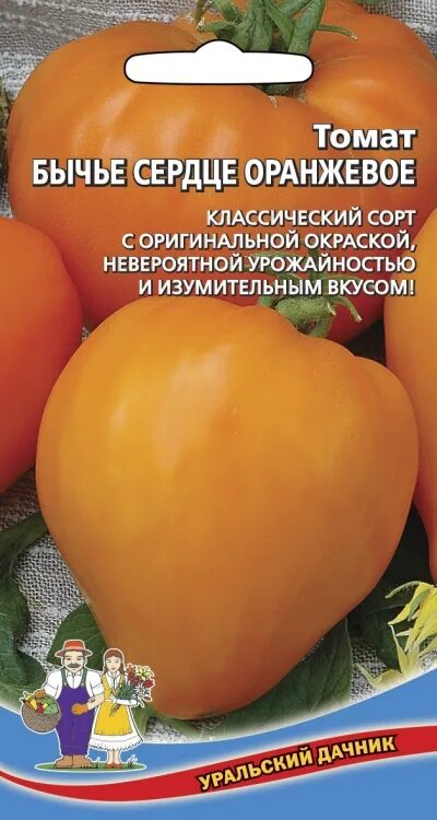 Томат Бычье сердце золотое f1. Томат сорт Бычье сердце оранжевое. Томат Бычье сердце f1. Сорт томата Бычье сердце желтое. Томат бычье сердце компакт отзывы фото урожайность