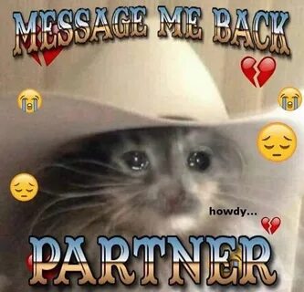 Show me the text
