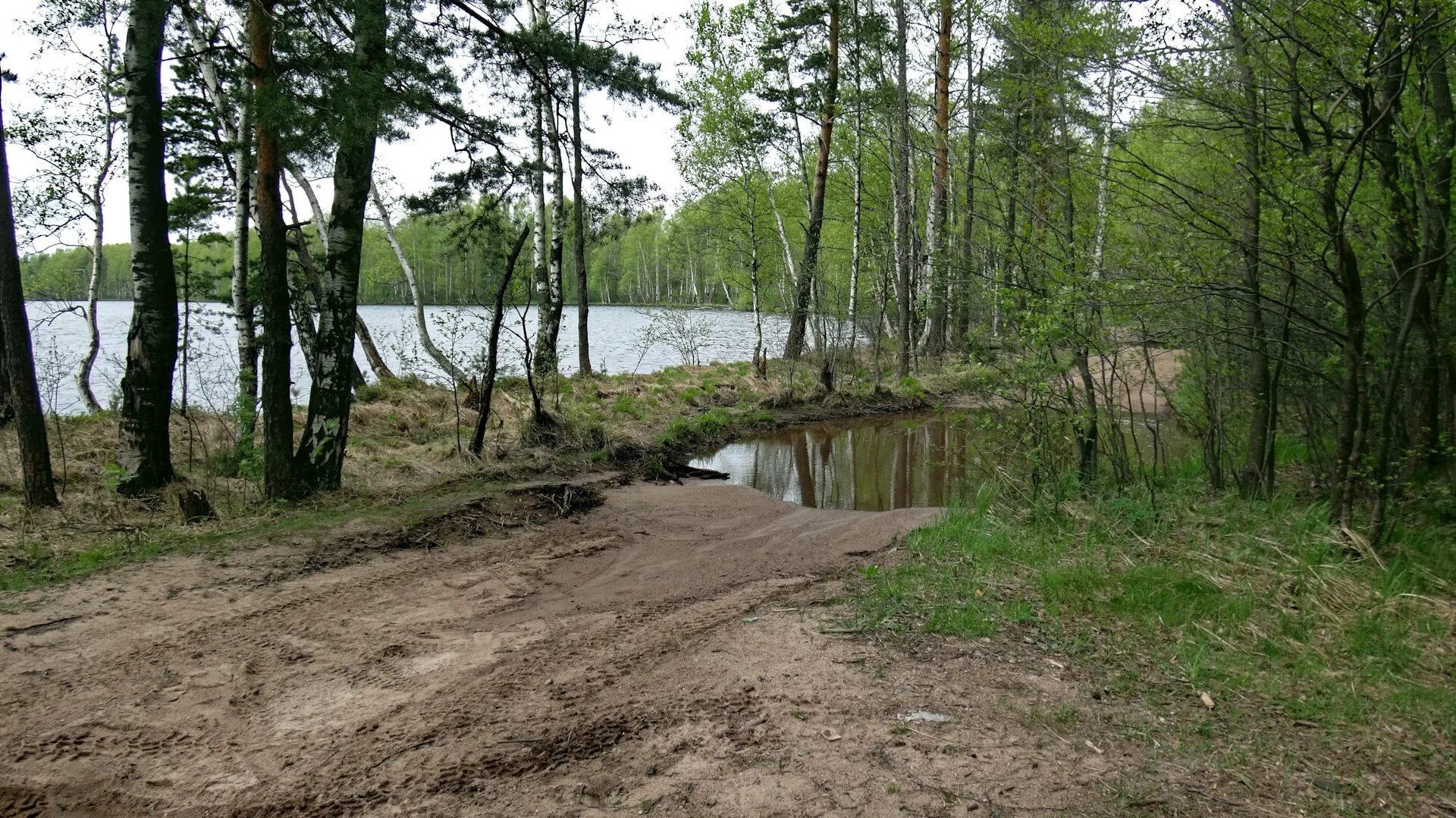 Южный хутор, база, дом отдыха, Ленинградская область, Всеволожское городское пос