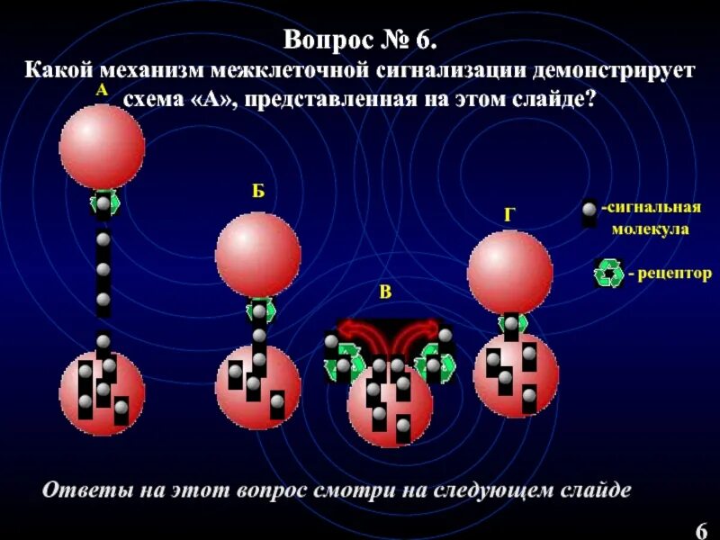 Сигнальные молекулы. Механизм цamp сигнальные молекулы. сигнальная молекула это физиология. сигнальные молекулы относят.