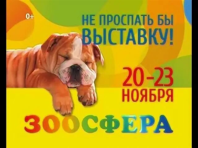 Чехова 264 зоосфера. Чехова 346/3 таганрог. Зоосфера нижний новгород. Чехова 264 зоосфера. Зоосфера ижевск.