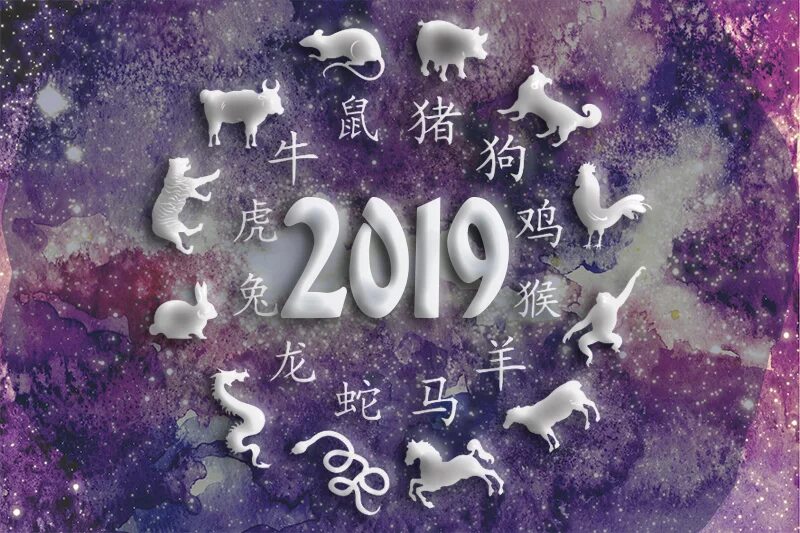 2022 какого знака зодиака. 2019 Год животных. 2019 Год по гороскопу. Какое животное 2019 года. 2019 Год по зодиаку.