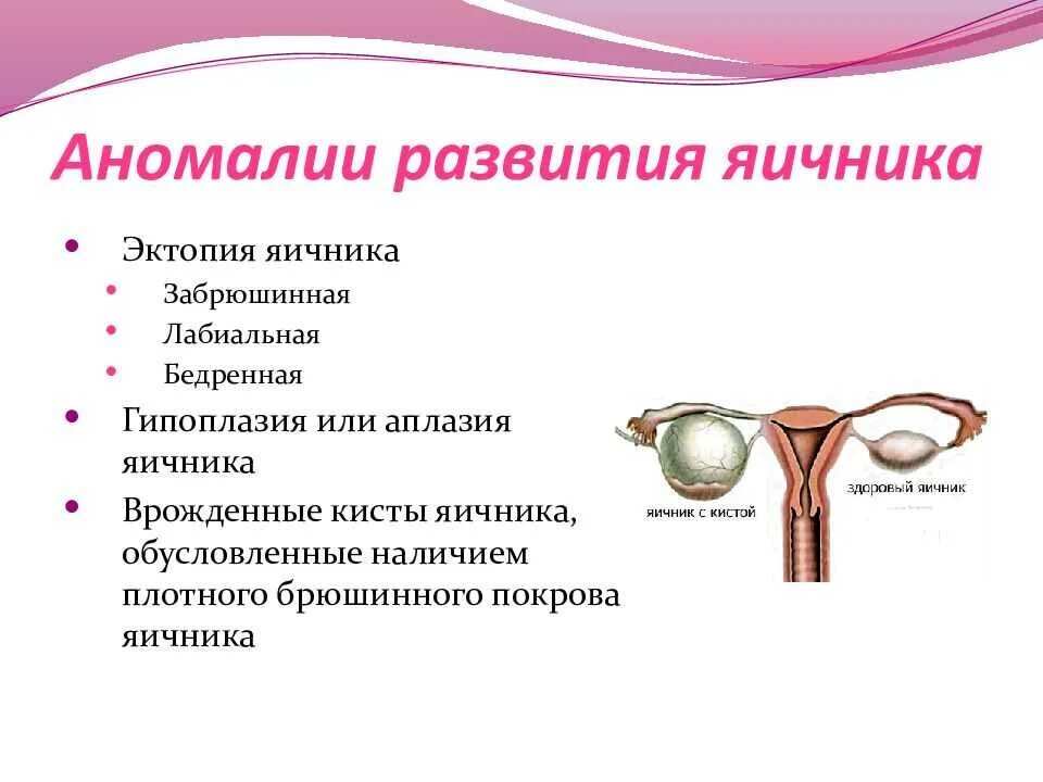 abdominal_bol.htm