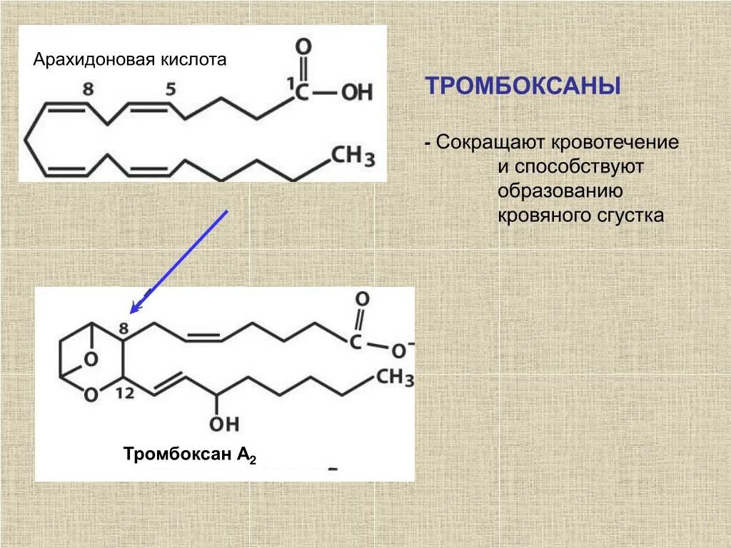 Арахидоновая кислота купить