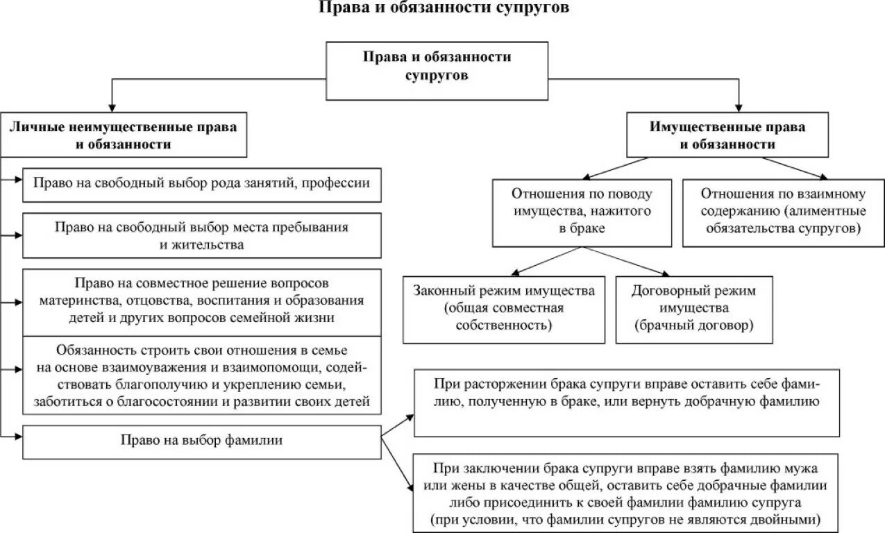 Имущество приобретенное до вступления в брак. Классификация прав и обязанностей супругов. Понятие и общая характеристика прав и обязанностей супругов..