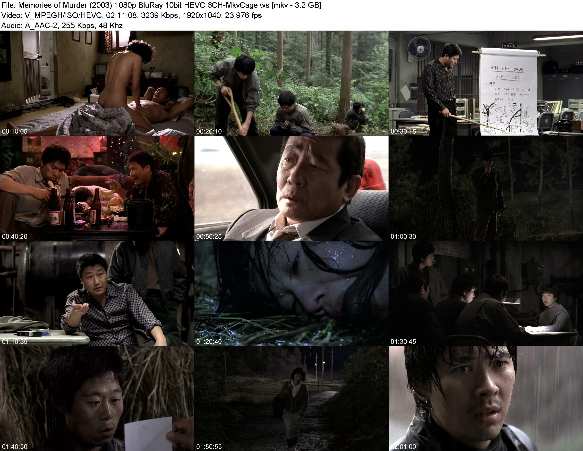 Memories of Murder 2003. Memories of Murder 2003 Art. Memories of Murder poster.