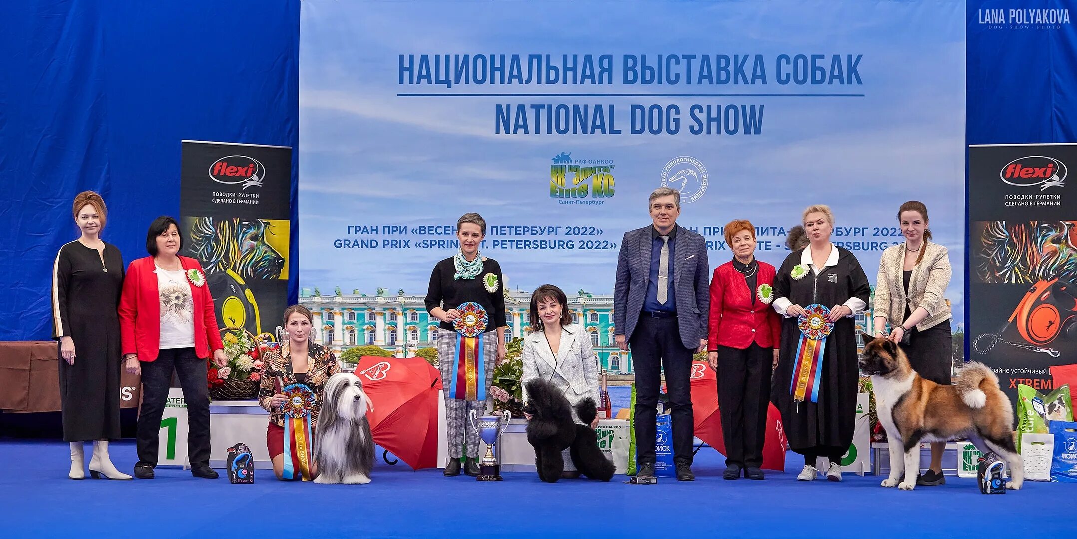 Выставка собак Россия 2022. Выставка собак в СПБ 2022. Выставка РКФ. Лучшая выставка собак Россия 2022.