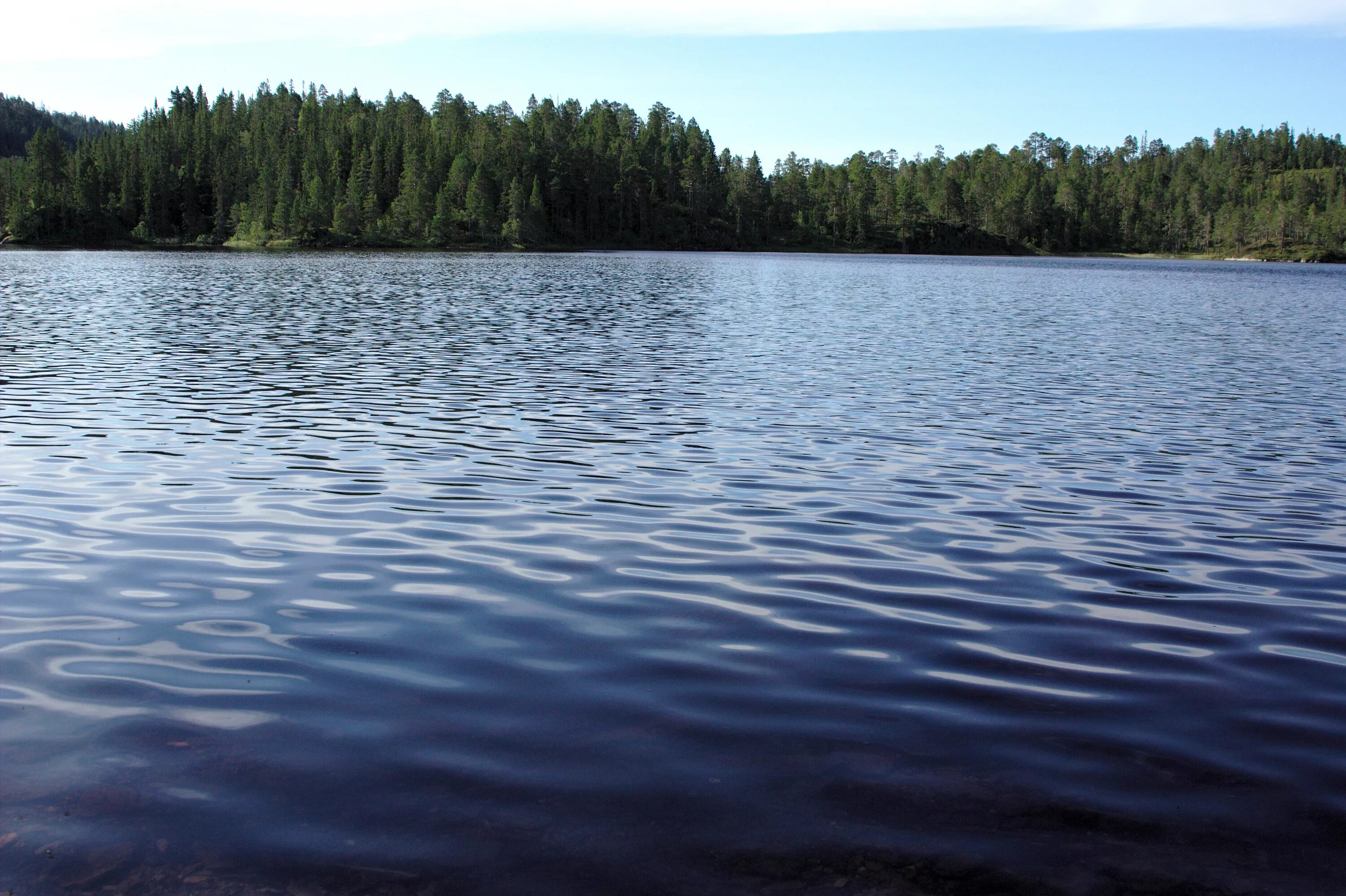 Вода в реке становится прозрачная. Озеро Варпаярви. Озеро Санхар. Озеро Варех. Вода озеро.