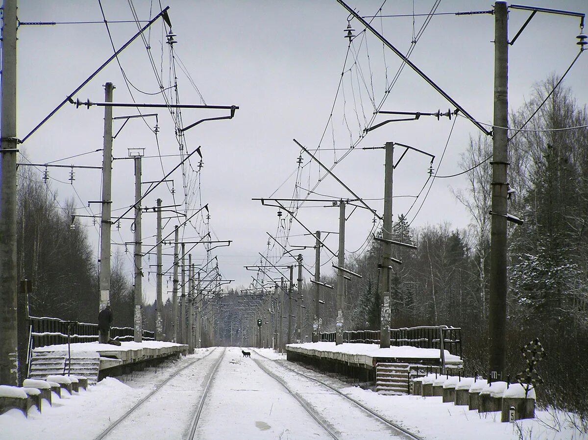 модель 13-2116 фитинговая платформа. транспорт спб 2023 трамвай. иванцево бмо. платформа 80. фитинговая платформа 40 футов.