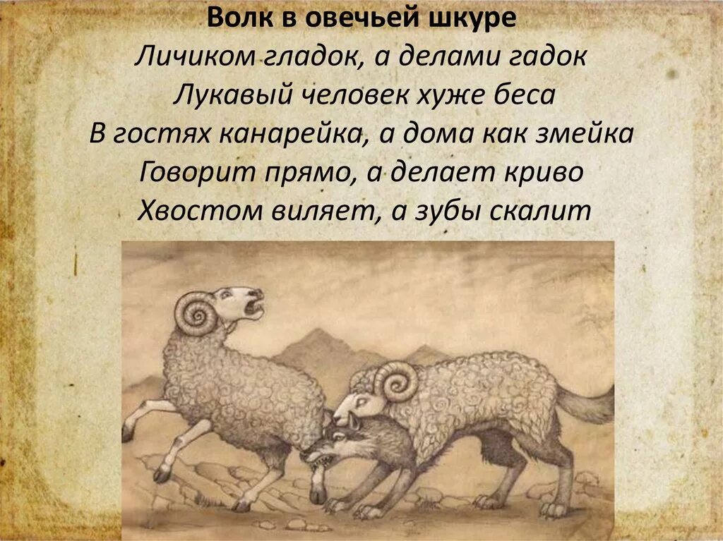 Паршивый значение. Волк в овечьей шкуре. Пословица волк в овечьей шкуре. Волк в овечьей шкуре цитаты. Баран цитаты.