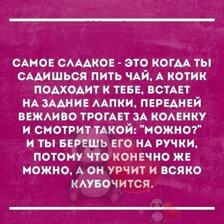 Интересные рассказы из жизни людей. Смешные рассказы из жизни. Интересные рассказы из жизни. Рассказы короткие интересные и смешные. Читать рассказы анонимные