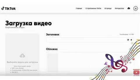 В тик токе не показывает видео
