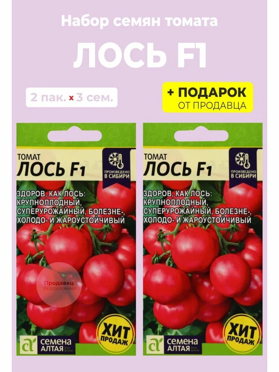 Сорт томата лось отзывы. Семена томат Лось f1. Томат Лось семена Алтая. Помидоры Лось f1. Лось в томате.