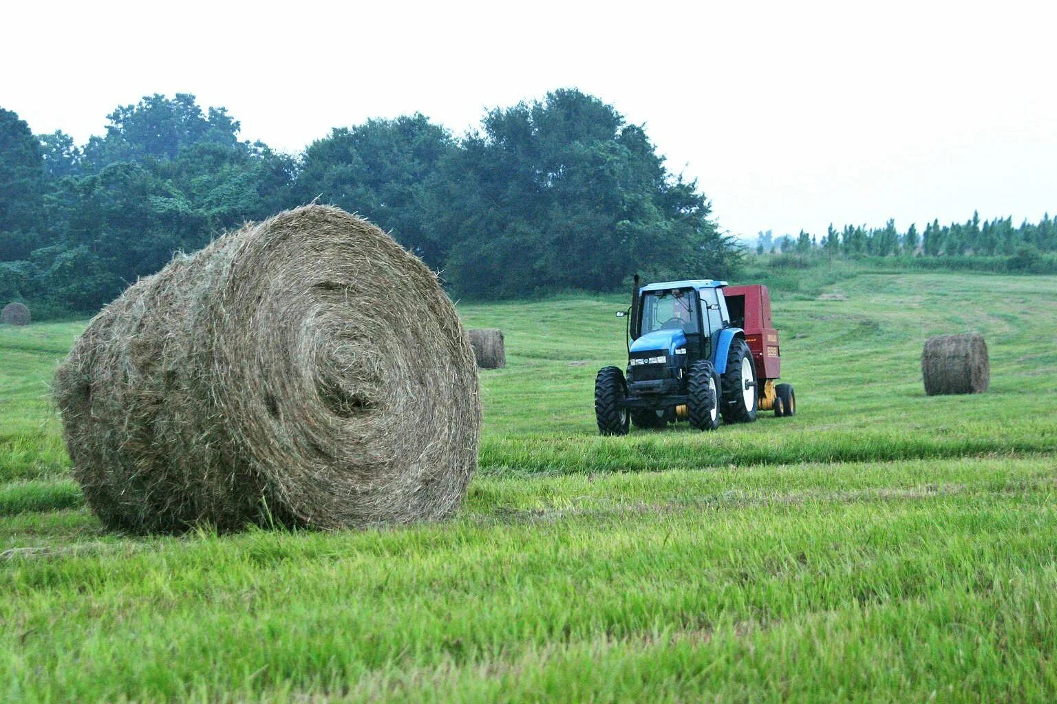 Трактор поле картинки. Трактор в поле. Многолетние травы в сельском хозяйстве. Трактор в поле сено. Фермер и сено.