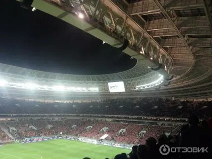 Олимпиаду отзывы