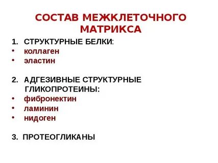 Белки какая ткань