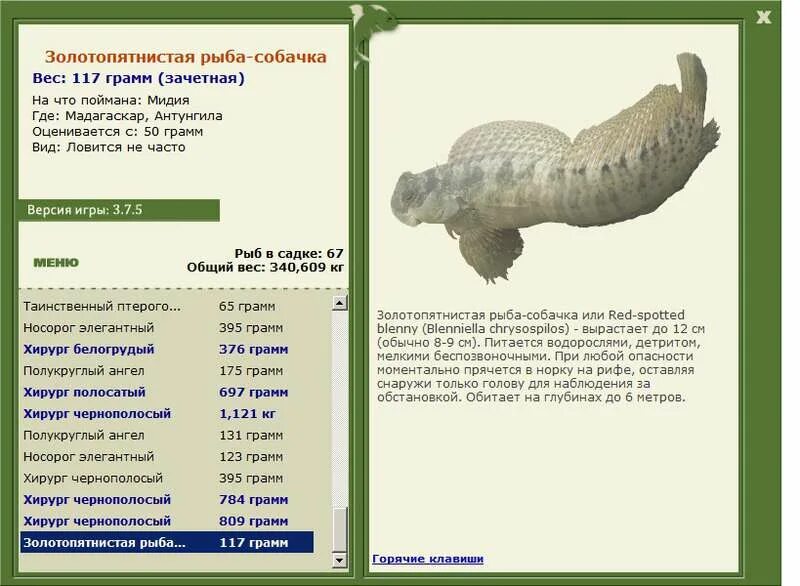 Рыба собака характеристика. Рыбы Мадагаскар рр 3 7 6. Сколько весит рыба собака. Носорог безрогий максимальный вес рыбы. Рыба собак на русском.