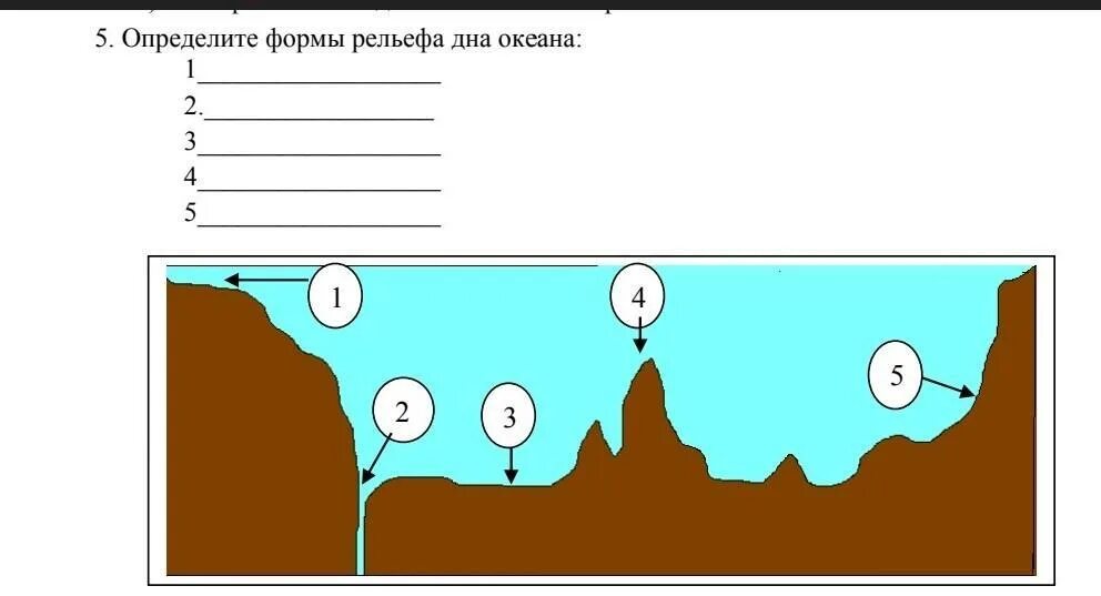 Форма рельефа дна океана. Формы рельефа дна океана. Рельеф дна мирового океана схема. Рельеф дна. Рельеф дна океана схема.