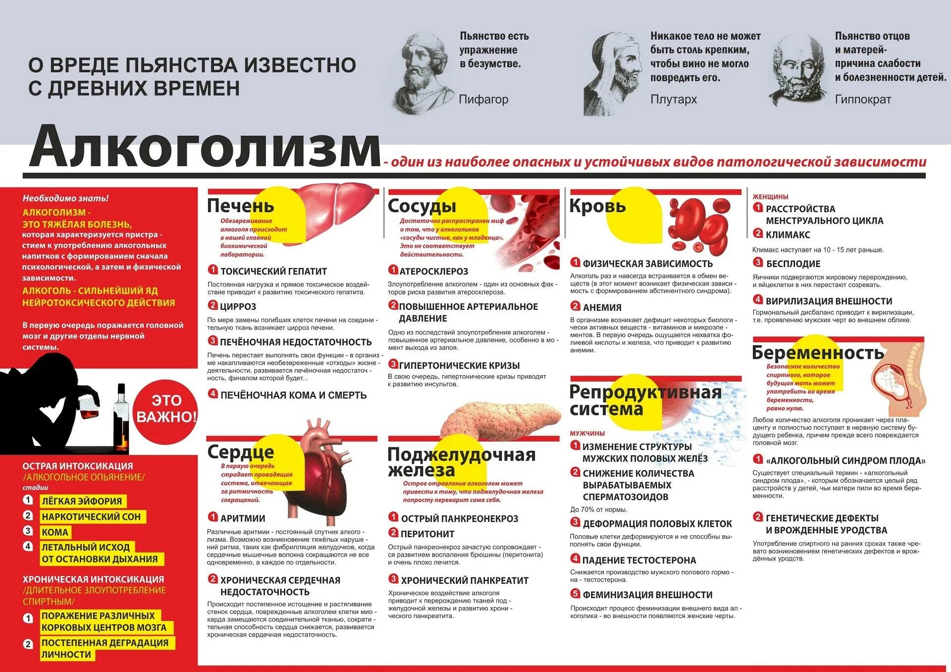 памятка подростку о вреде алкоголя. памятка против алкоголя. памятка о вреде алкоголизма. профилактика алкоголизма среди подростков. памятка о вреде алкоголизма.