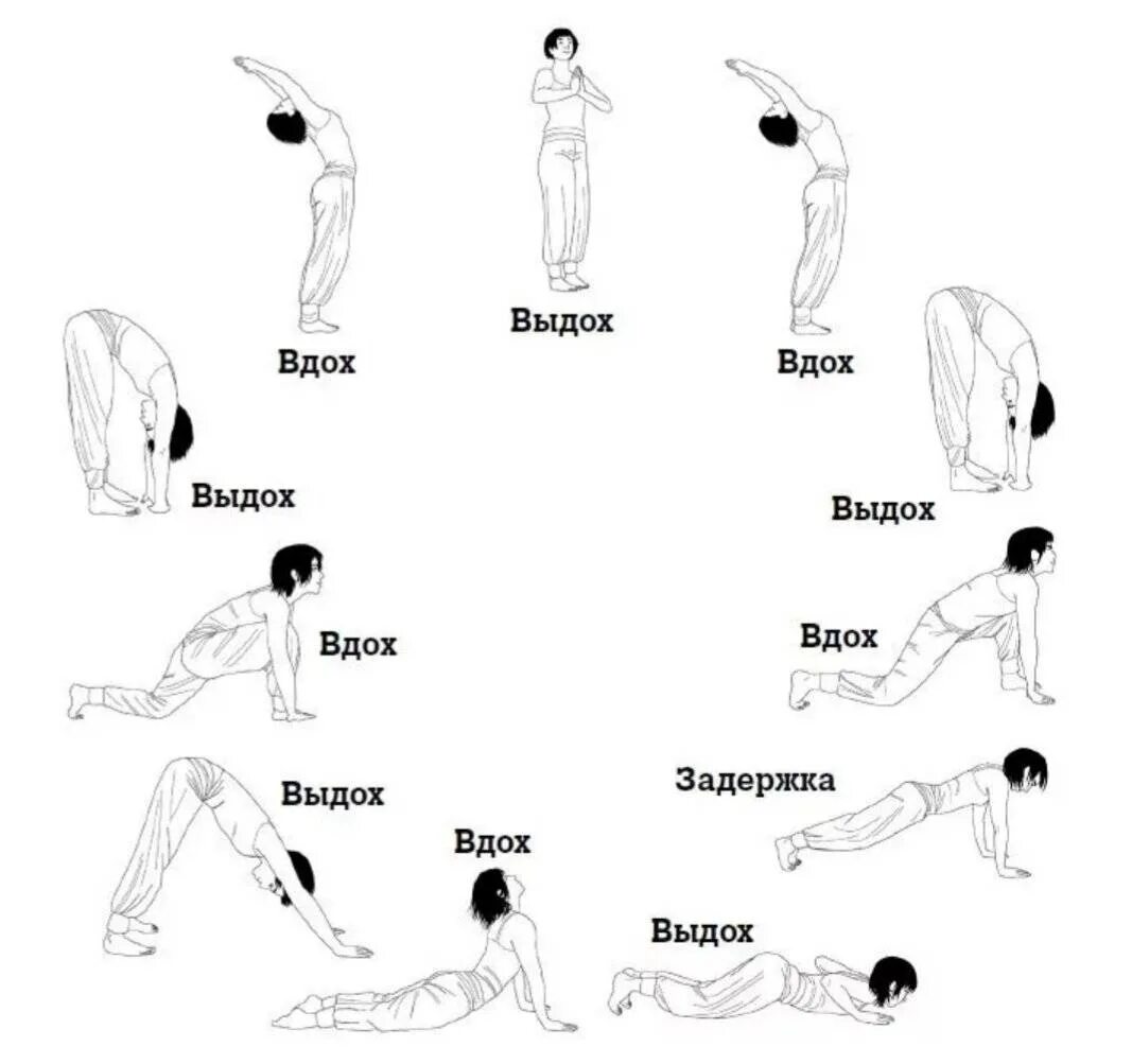 Комплекс Сурья Намаскар Приветствие солнцу. Сурья Намаскар комплекс упражнений. Сурья Намаскар схема. Комплекс упражнений в йоге Сурья Намаскар. Комплекс приветствие солнцу