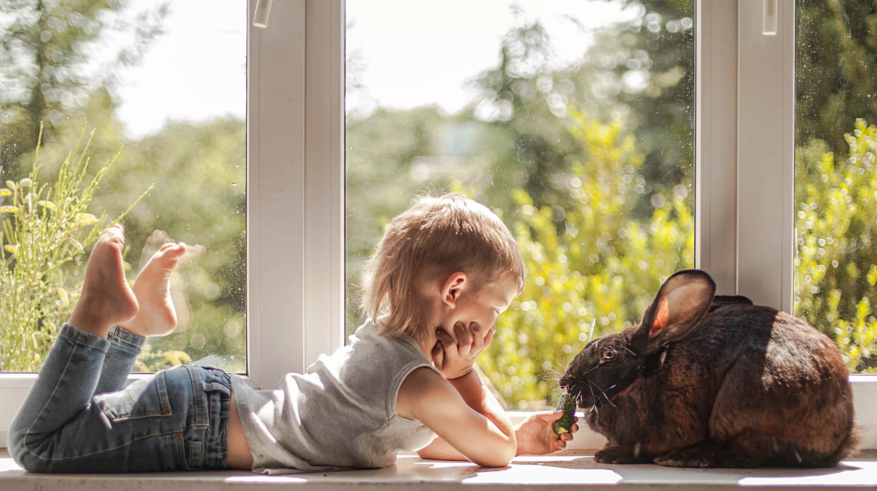 Child windows