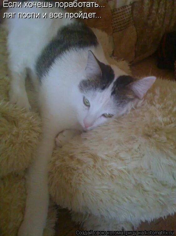 если хочешь поработать ляг. ляг поспи и все пройдет. если хочешь поработать ляг поспи и все. ляг поспи и все пройдет. если хочешь поработать.