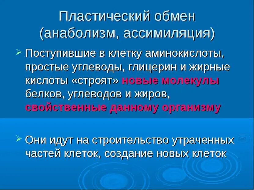 Этапы пластического обмена схема. Пластический обмен веществ. Пластический обмен и энергетический обмен. Обмен веществ пластический обмен биосинтез белков. Пластический обмен это процесс.