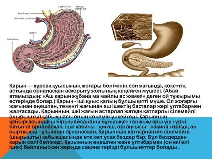 Орыс үйдегі анальный порно
