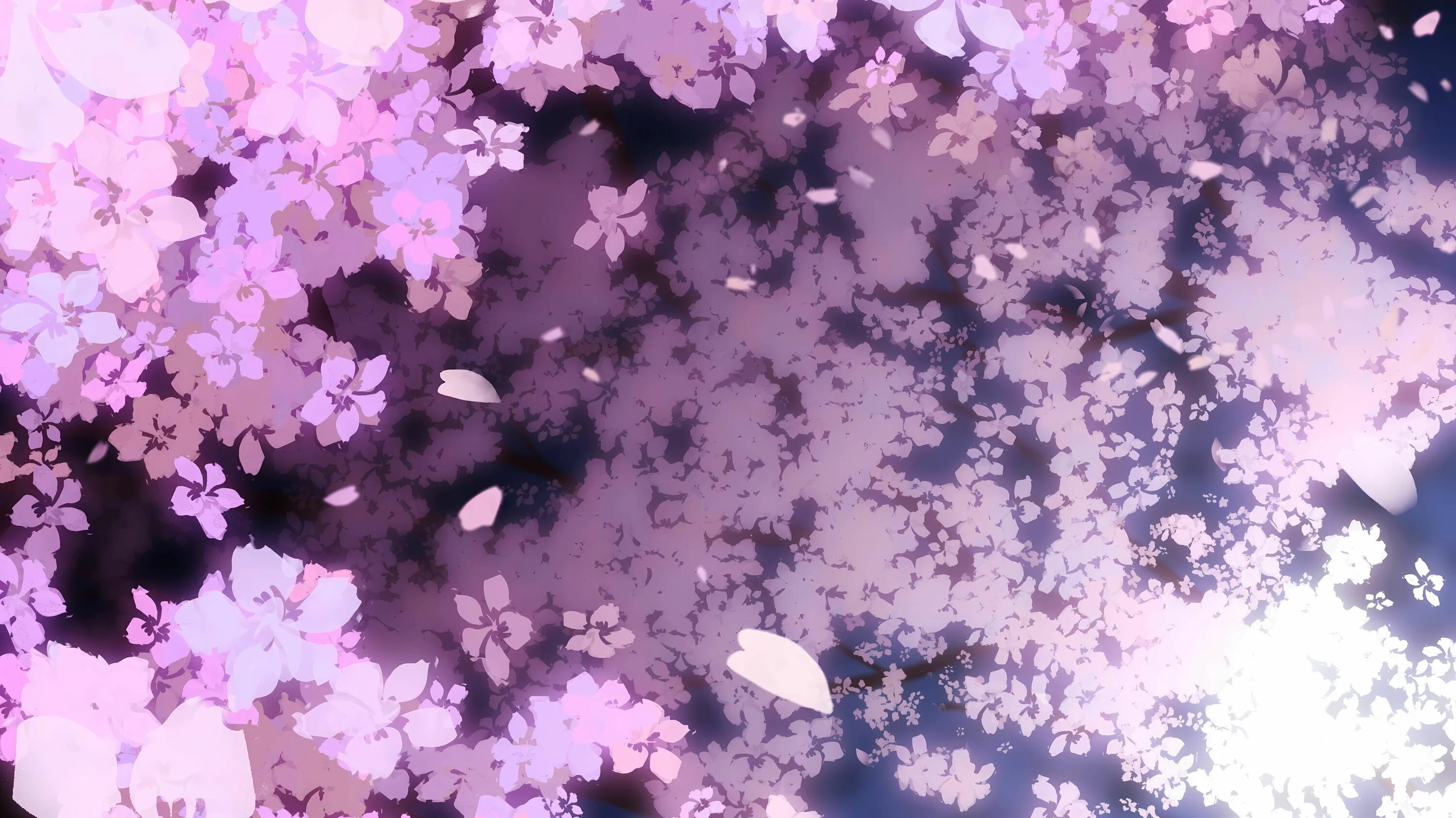 Flower shining. Лепесток Сакуры.